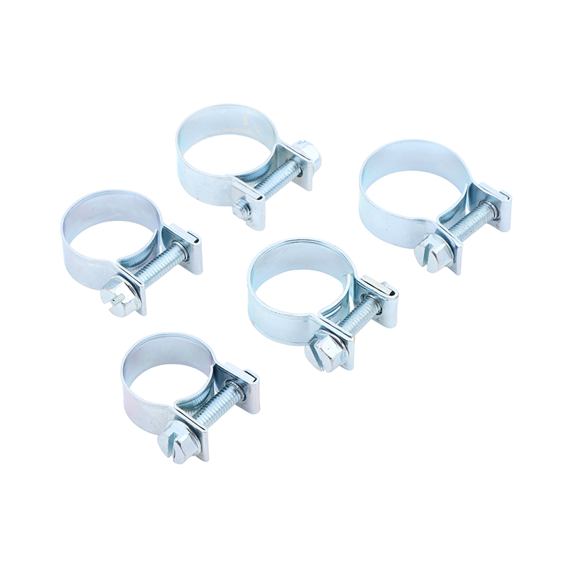 Jubilee Hose Clips 10Pcs Set f - Hose Clamp Assorted recension och pris