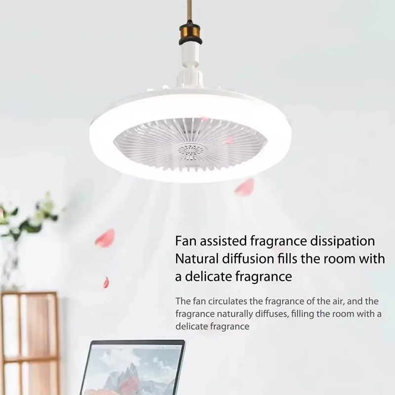 2 In 1 Ceiling Fan Lamps 3 Spe - Ceiling Fan Mount recension och pris