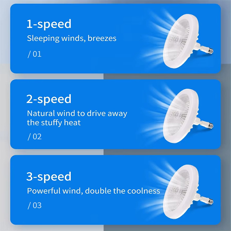2 In 1 Ceiling Fan Lamps 3 Spe - Ceiling Fan Mount recension och pris