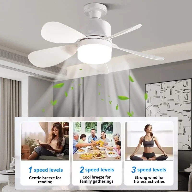16 Inch 2-in-1 Ceiling Fan wit - Ceiling Fan Mount recension och pris